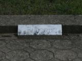 image of grave number 864564